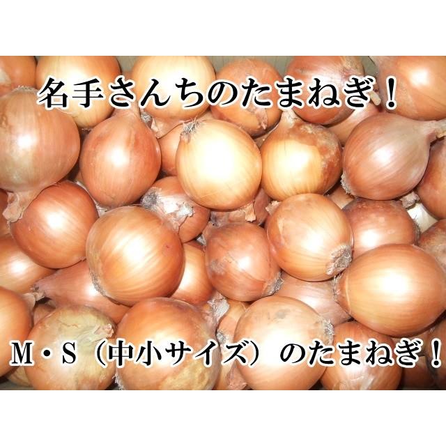 淡路島産玉ねぎ訳あり１０kg 家庭用にどうぞ！2023年産 ＊地域限定送料無料でお届けいたします！