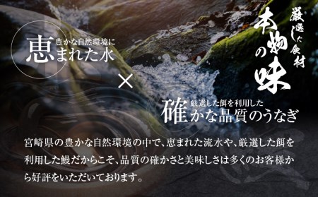 食べやすくきざんだ国産うなぎ蒲焼き　5食セット