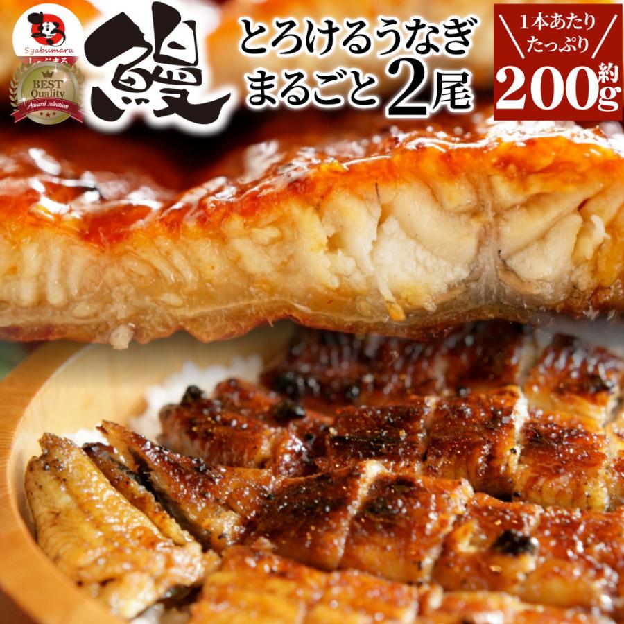 うなぎ蒲焼 2本入り（約200ｇ×2）たれ・山椒付き 鰻 かば焼き 土用 丑の日 湯煎 レンジOK 簡単解凍するだけ 惣菜 冷凍当日発送