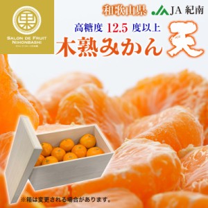 [予約 2024年1月1日必着] 木熟みかん 天 桐箱 紀南木熟みかん 糖度12.5度 約4kg てん 高糖度 和歌山県産 JA紀南 お正月必着指定 お年賀