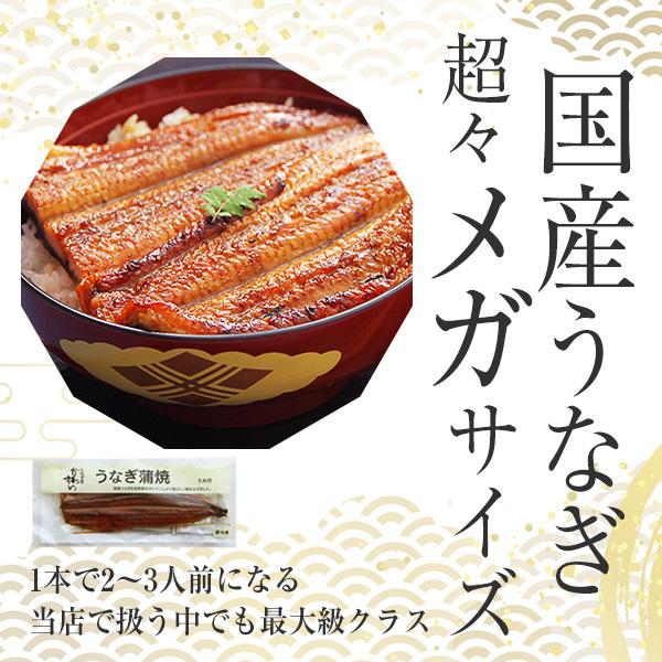 限定400本 超々メガサイズ 国産 うなぎ 蒲焼き 270g×1本 タイムセール ウナギ 鰻