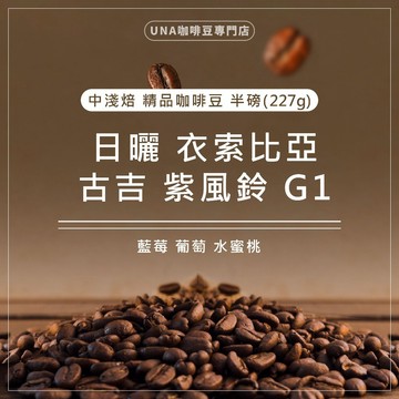 【烘焙前後人工挑除瑕疵豆】日曬 衣索比亞 古吉 紫風鈴 G1 咖啡豆 精品咖啡豆 半磅 227g 浸泡式咖啡包