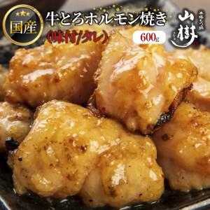 ふるさと納税 山樹の国産牛とろホルモン焼き（味付 タレ）　600g [047R17] 愛知県小牧市