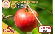  りんご 5kg 紅玉 青森
