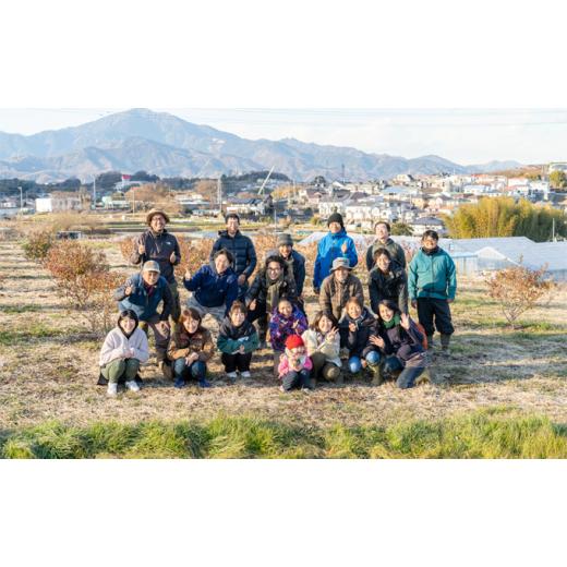 ふるさと納税 神奈川県 平塚市 いかすの有機野菜10袋