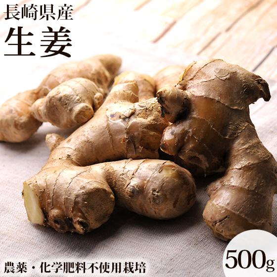 新生姜 長崎県産 500g 生姜 特別栽培農産物 農薬化学肥料不使用 露地栽培 ご家庭用 にんじんジュースにも最適