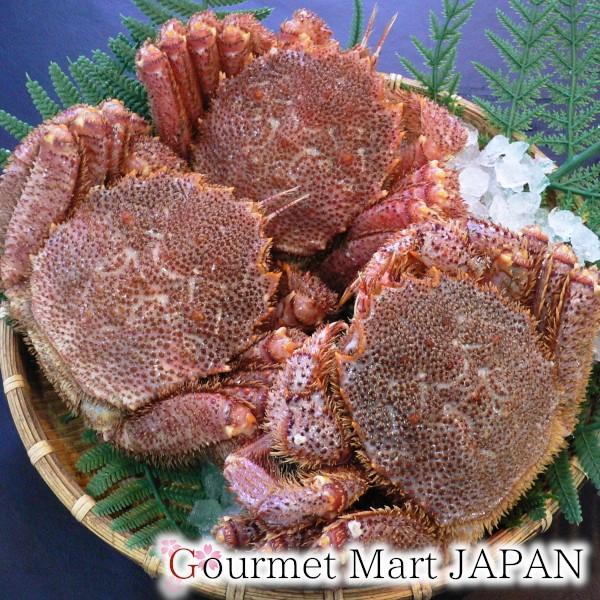 毛がに 500g 3尾セット かにのマルマサ お取り寄せ グルメ お歳暮 年末年始 お正月