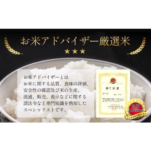 ふるさと納税 熊本県 玉名市 熊本県産ひのひかり 5kg×6回