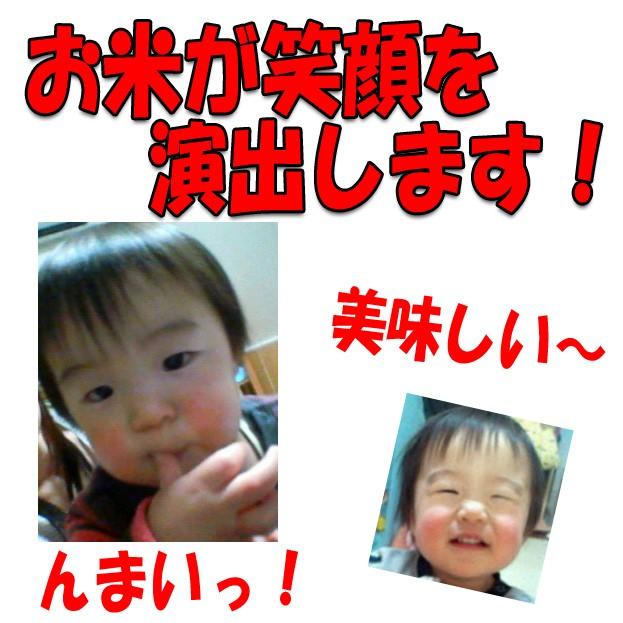 令和5年 新米 2023年 山形県産 はえぬき 白米 30kg (5kg×6袋) 精米 ギフト 産地直送 のし プレゼント ブランド米 