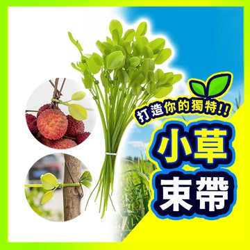 ▶台灣現貨◀ 小草束帶  綠色小草 療癒小物 樹葉束帶 綁線帶 機車裝飾 塑膠束帶 葉子束帶 裝飾束帶