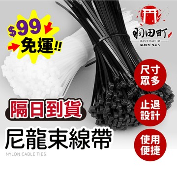 台灣隔日到貨 ♥ 整包100入【高強度尼龍束線帶】束線帶 尼龍束帶 綁帶 紮線帶 整線器 理線帶 可調式束帶 防滑束帶