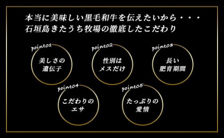 特製レトルトビーフシチュー 5個こだわりぬいた美味しいお肉のビーフシチュー AM-20