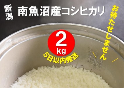 南魚沼産コシヒカリ　うちやま農園のお米  2kg