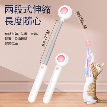 🌈PEt✨兩段式伸縮 貓咪玩具 逗貓玩具 寵物玩具 ✨逗貓棒 可替換頭配件 羽毛 流蘇