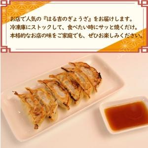 ふるさと納税 麺屋はる吉 冷凍ぎょうざオリジナル 40個入×2袋 加工品 餃子 ぎょうざ 豚肉 鶏肉 玉ねぎ 北海道北見市