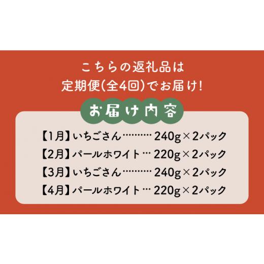 ふるさと納税 佐賀県 白石町 食べ比べ！いちごさん＆パールホワイト定期便 [IBG012]