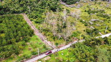 ⭐東河秘境大地坪農地/4.3分/可蓋農舍.資材室｜台東縣東河鄉瑪屋撈外段