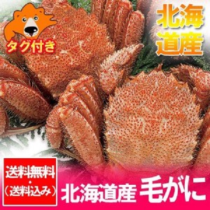 毛ガニ 送料無料 毛蟹 北海道 けがに ボイル 毛がに 2尾(400g×2) 北海道産 毛蟹 浜茹で けがに