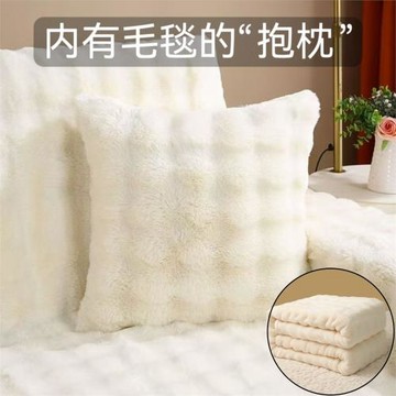 雙面抱枕內含毛毯的沙發客廳靠墊辦公室靠背床頭靠墊含芯宿舍蓋腿