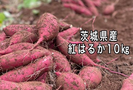 ポテト小屋の生さつまいも 10kg 送料無料　 さつまいも　紅はるか　鹿嶋市 (KBR-4)