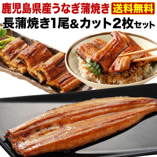 父の日ギフトセット プレゼント ギフト うなぎ  食べ物 国産 長蒲焼き1尾＆カット2枚セット ギフトBOX 鹿児島産 蒲焼き 60代 70代 80代 クール