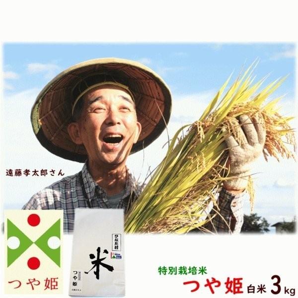 こめ 米 新米 山形県長井市 遠藤孝太郎さん 特別栽培米 つや姫 白米3kg 送料込