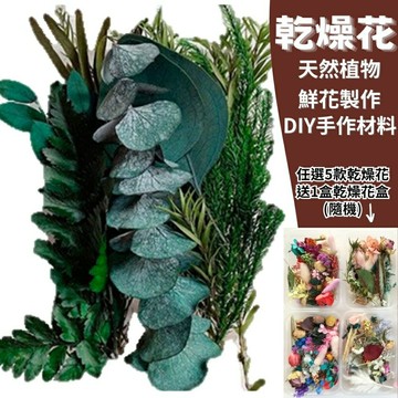 【A-ONE】乾燥花盒 翠綠大地 永生花 DIY手作 花材盒 拍攝道具 佈置 裝飾 乾燥花 A01