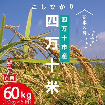 四万十産 四万十米コシヒカリ10kg(5kg×2袋)×6回(計60kg