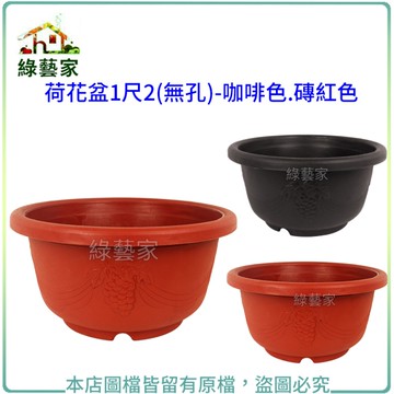 【綠藝家】荷花盆1尺2(無孔)-咖啡色.磚紅色