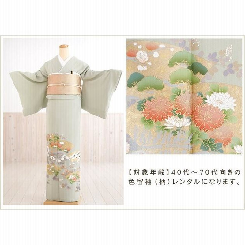 3902］色留袖 美品 寿光織 作家物 比翼付 三つ紋 蔓柏 正絹 着物 袷