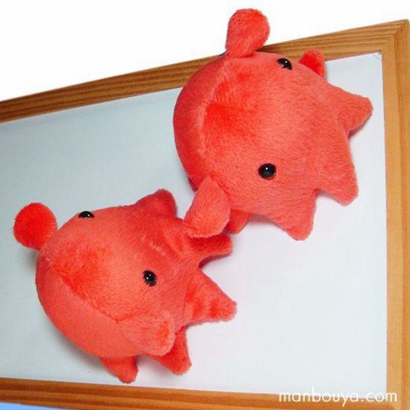 カバヤ他　小さななぬいぐるみ＆マグネット　6コセット　中古品 メンダコのぬいぐるみ 水族館 グッズ おみやげ 深海魚 A-SHOW
