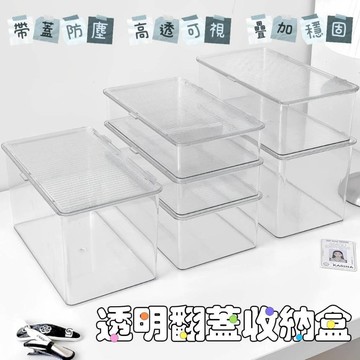 透明收納盒 輕奢豎紋掀蓋盒 翻蓋收納盒 化妝品收納盒 桌面置物盒 冰箱收納 無印風收納 防塵整理