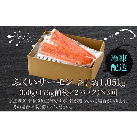 ふるさと納税 ふくいサーモン（刺身用）真空冷凍　350g（175g × 2パック） × 3回 合計約1.05kg 福井県大野市