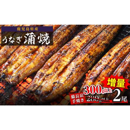 ふるさと納税 うなぎ備長炭手焼蒲焼２尾(合計300g以上） 鹿児島県大崎町