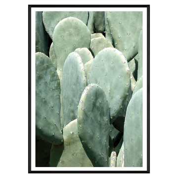 叢叢多肉小鮮綠  70 x 50cm  黑色