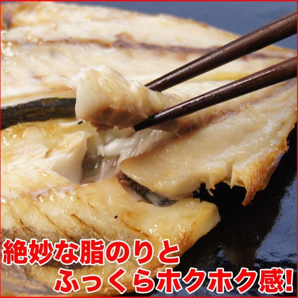 干物 セット 定番 焼き魚 3種セット 送料無料 アジ開き干・ほっけ開き干し・甘塩銀鮭切り身 (海鮮 限定 ギフト）