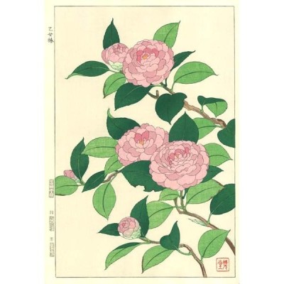 F055 おとめ椿　花版画 Flower Woodcut ‐Camellia‐