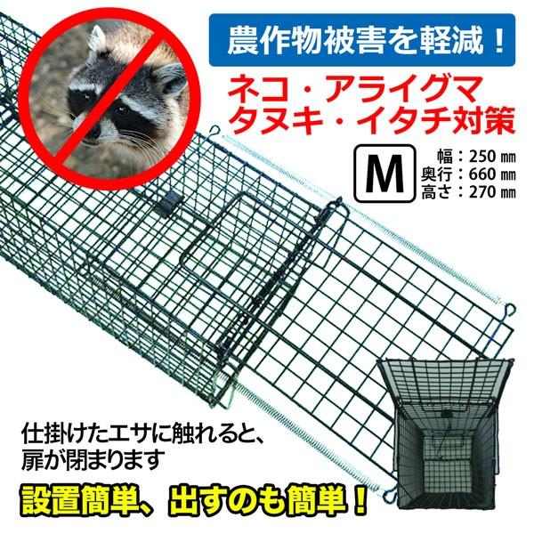 シンセイ アニマルキャッチャー 動物 捕獲器 保護器 罠 トラップ オリ 害獣対策 Mサイズ