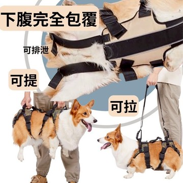 Coodeo 亞馬遜口碑熱賣 狗狗拉提背帶 全身支撐吊帶 後腿支撐,老犬關節受傷關節炎,癱瘓輔助 上下樓 可上廁所
