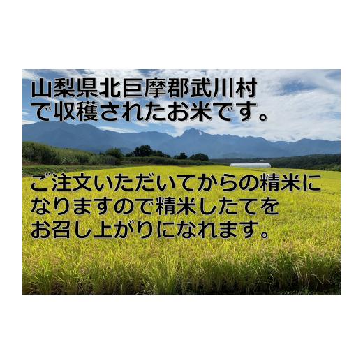 ふるさと納税 山梨県 甲府市 山梨県産武川コシヒカリ 玄米20kg(10kg×2袋)