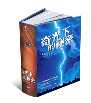奇光下的祕密[二手書_良好]