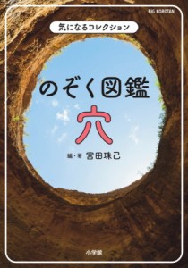  宮田珠己   気になるコレクション　のぞく図鑑　穴 BIG　KOROTAN