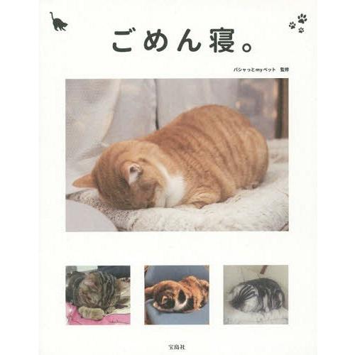 宝島社 ごめん寝 かわいくて笑える 眠る猫の写真集 パシャっとmyペット