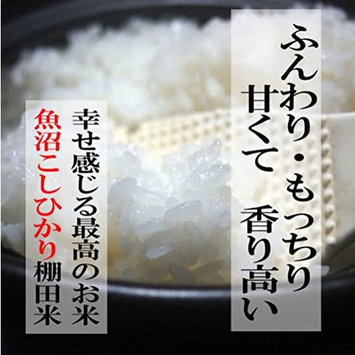 お歳暮ギフト 新米 令和５年 魚沼産コシヒカリ白米5kg 沢水育ちの棚田米 蘭山ふれあいクラブ 農家直売 ギフト 誕生日 お歳暮 新潟産 こしひかり