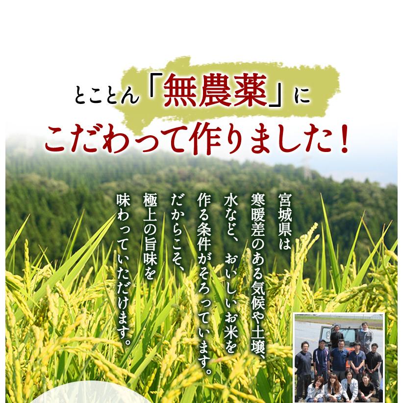 無農薬 玄米 米 3kg 無農薬 つや姫 令和5年宮城県産 新米入荷 送料無料 無農薬・無化学肥料栽培