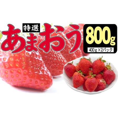 ふるさと納税 いちご 2023年12月より発送 特選あまおう 800g※配送不可：離島 福岡県朝倉市