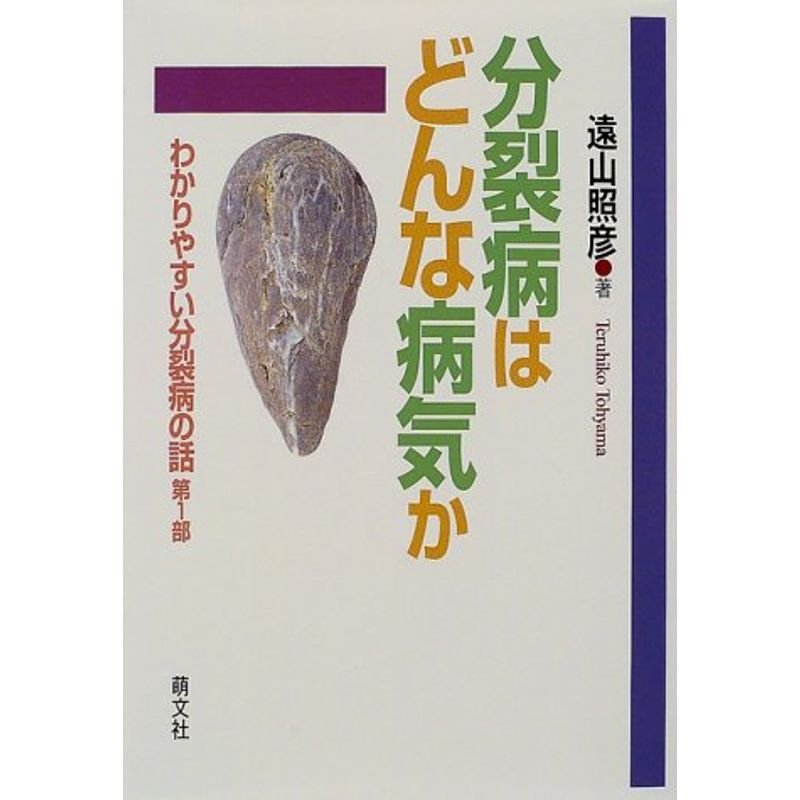 分裂病はどんな病気か?わかりやすい分裂病の話〈第1部〉 (わかりやすい分裂病の話 第 1部)