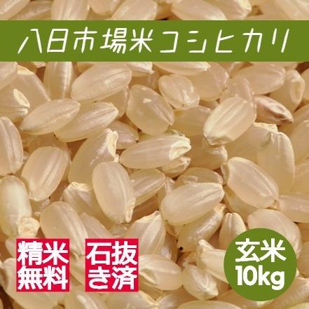 新米 米 お米 玄米 10kg 八日市場米 コシヒカリ 令和5年産 本州四国 送料無料 紙袋 綺麗仕上 異物除去 石抜き済