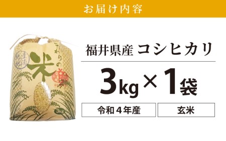 コシヒカリ 3kg 令和5年 福井県産 [e30-a048]