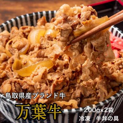 ふるさと納税 米子市 プレミアム牛丼の具(2個)